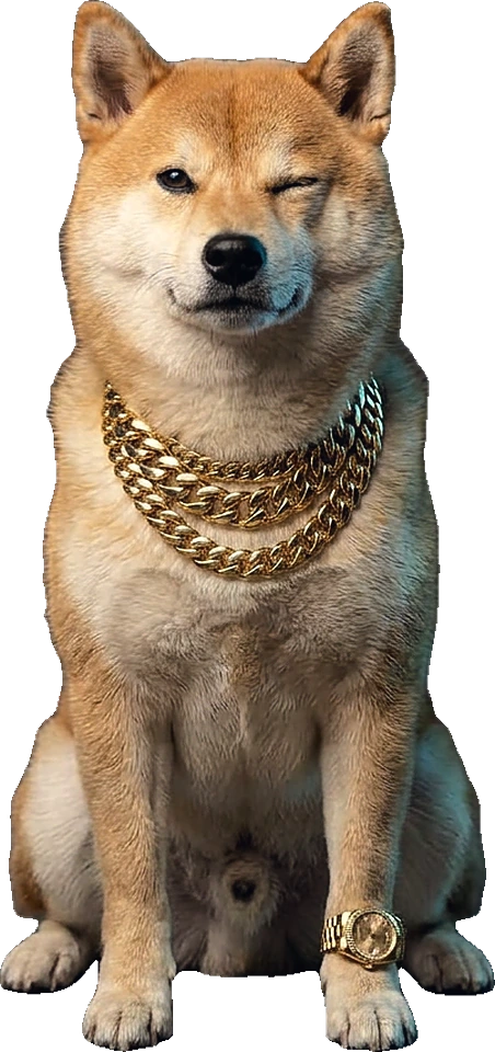 Rich Shiba Inu sitting upright on a dark velvet stool, wearing his gold chains